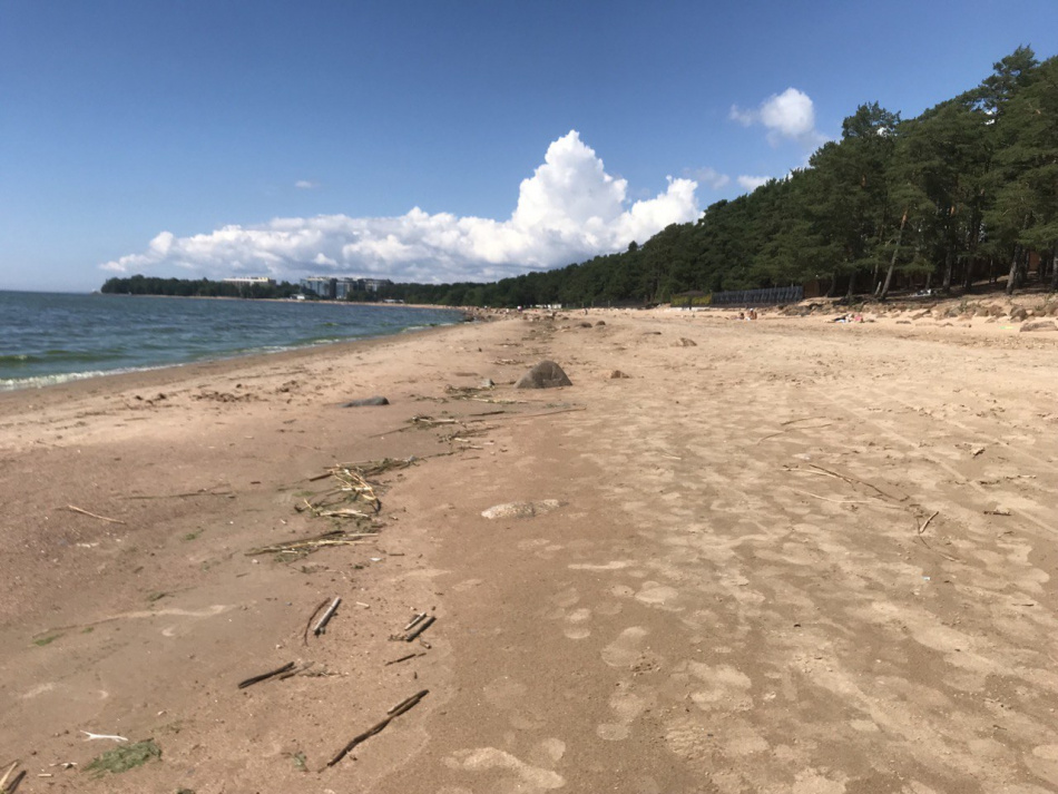 Мировые рифы переживают крупнейший кризис из-за потепления климата